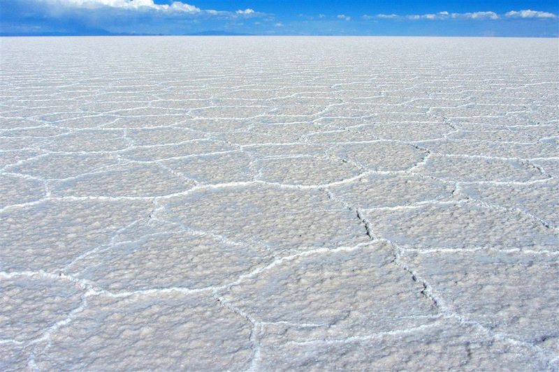 Salar de Uyuní - Province d'Antonio Quijarro - Département de Potosí - Bolivie