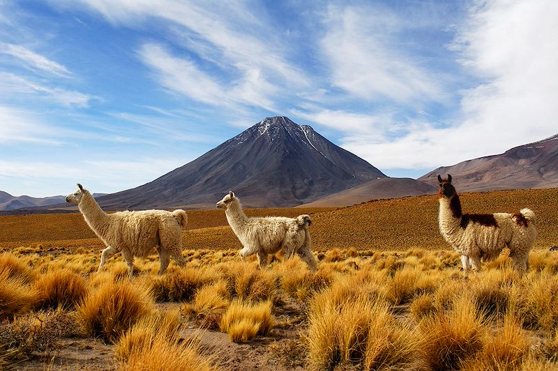 L'odyssée : Atacama, Uyuni & Machu Picchu