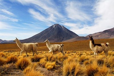 voyage L'odyssée : Atacama, Uyuni & Machu Picchu