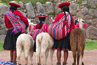 voyage Sur la trace des lamas