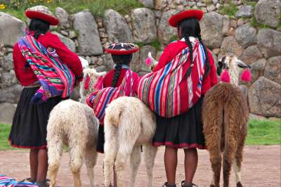 voyage Sur la trace des lamas