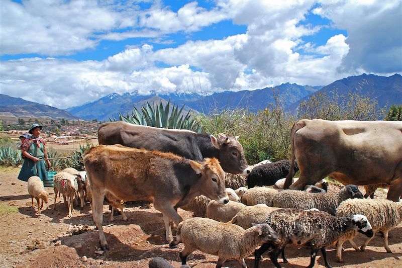 Colca, Camino Inca & Vinicunca