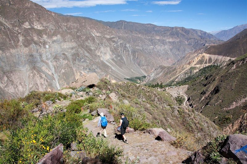De San Juan de Chuccho à l'oasis Sangalle - Canyon de Colca - Province d'Arequipa - Pérou