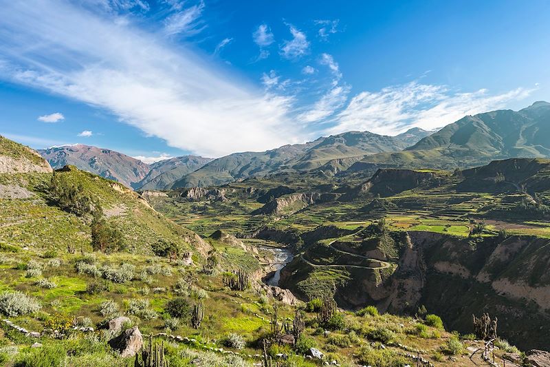 3 randonnées mythiques : Canyon Colca, Chemin de l'Inca jusqu'au Machu Picchu et Vinicunca, la montagne la plus colorée du Pérou