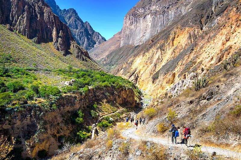 Groupe de randonneurs dans le Canyon de Colca - Pérou