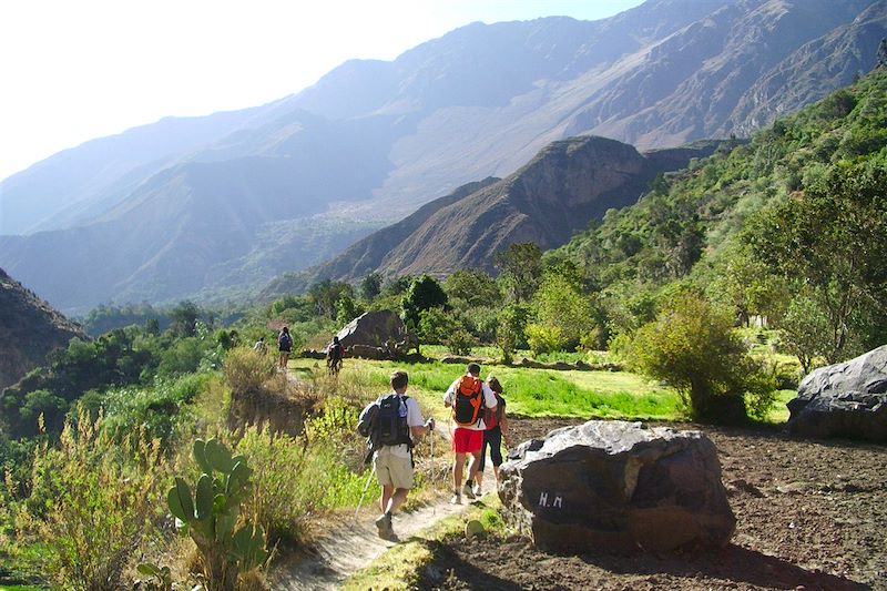 Canyon del Colca - Arequipa - Pérou