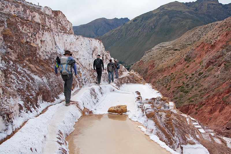 Les salines en terrasse de Maras - Vallée sacrée des Incas - Province de Cuzco - Pérou