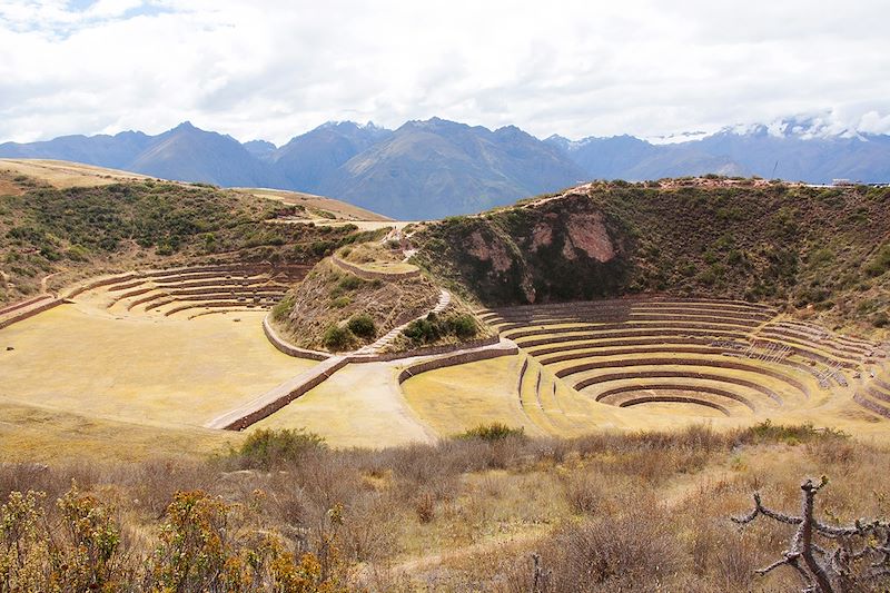 Moray - Vallée sacrée des Incas - Province de Cuzco - Pérou