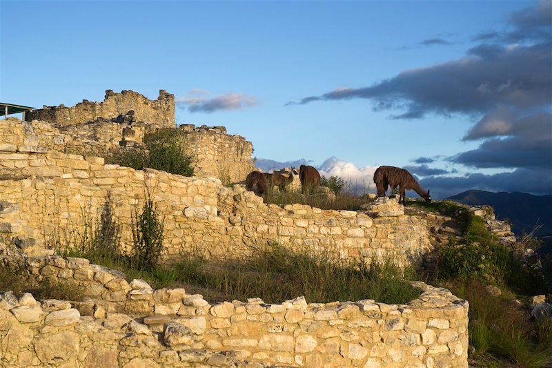 Forteresse de Kuelap - Chachapoyas - Nord Pérou - Pérou