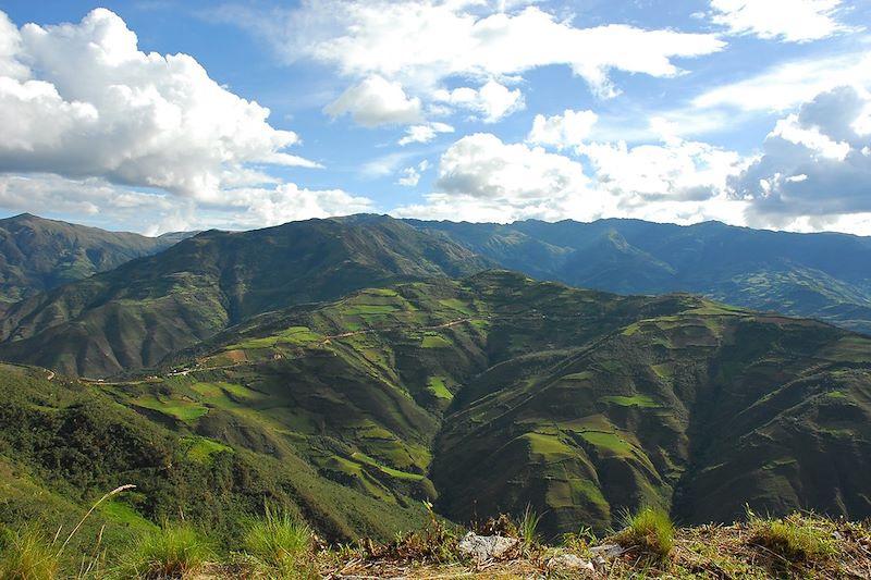 Paysage de la Selva Alta depuis la forteresse Kuélap - Pérou