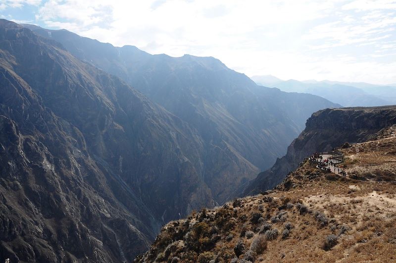 Canyon du Colca - Arequipa - Pérou