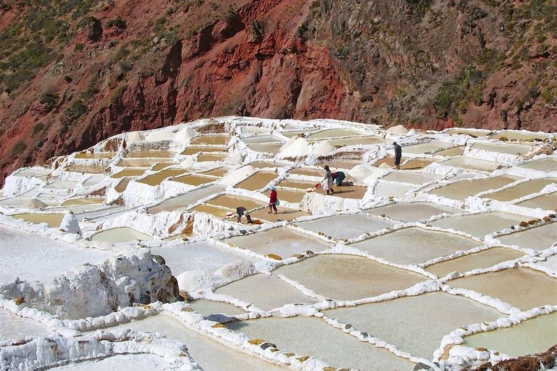 Salines de Maras - Vallée sacrée - Pérou