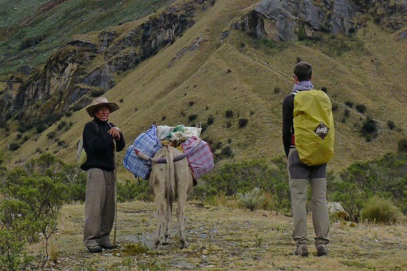 Randonneurs dans la Cordillère Blanche - Parc national de Huascarán - Région d'Ancash - Pérou