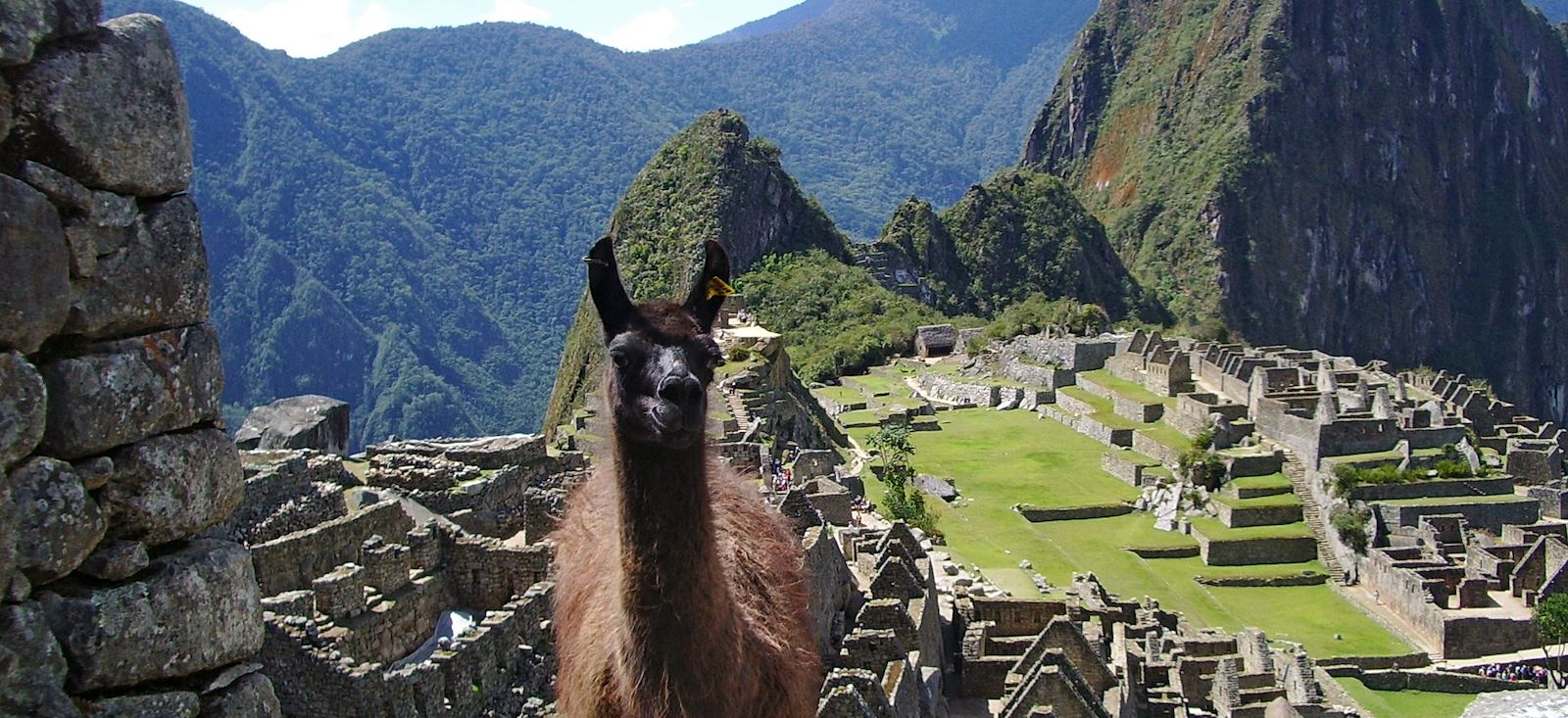 Image A la conquête des cités d'Or !