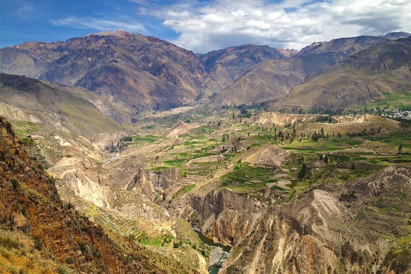 Canyon de Colca - Région d'Arequipa - Pérou