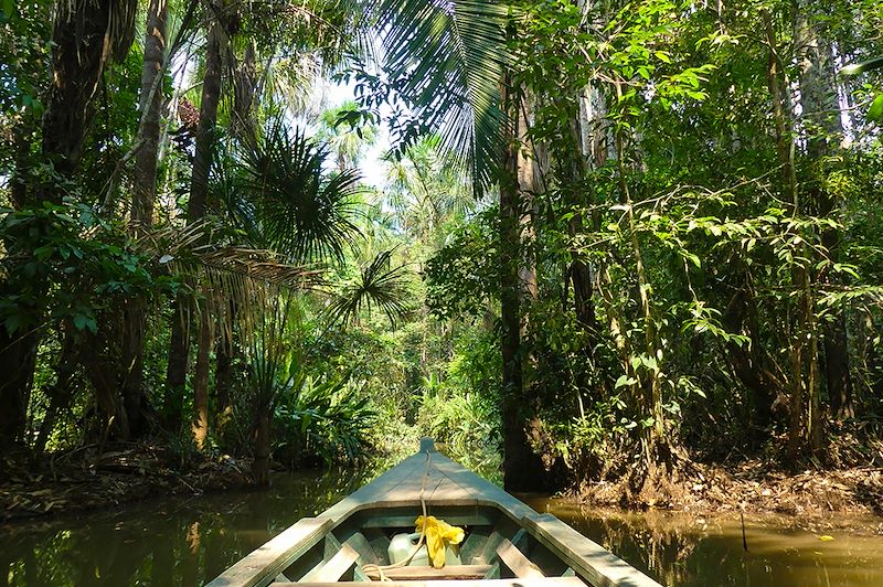 En pirogue dans la forêt amazonienne - Pérou
