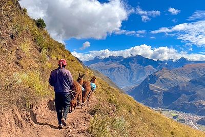 Entre Andes et Amazonie : Immersion au Pérou