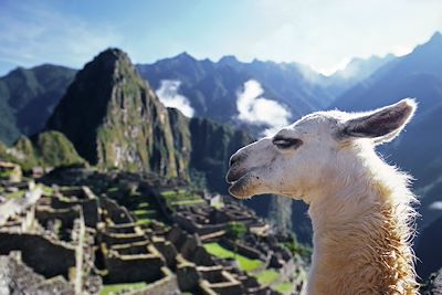 voyage Chez les Incas et en Amazonie !