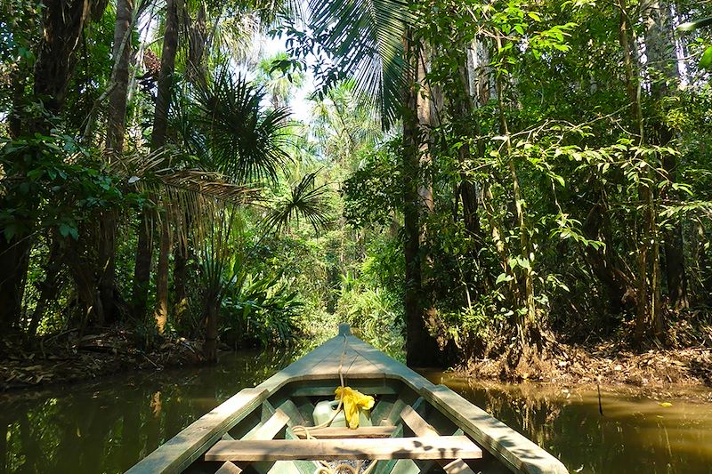 En pirogue dans la forêt amazonienne - Pérou