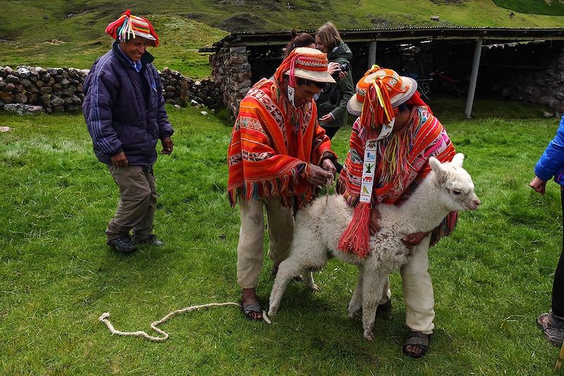 Cérémonie des Lamas - Pérou