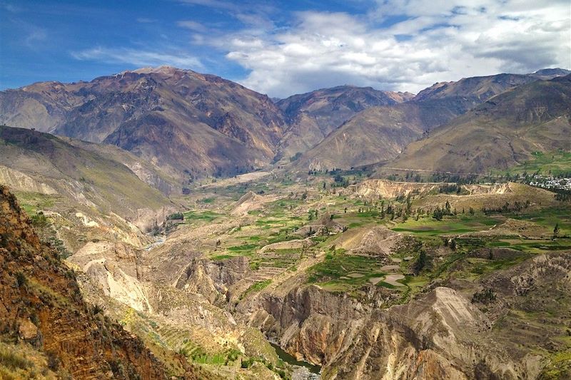 Canyon de Colca - Région d'Arequipa - Pérou