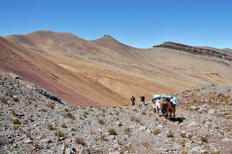 Trek de l'Ausangate - Pérou