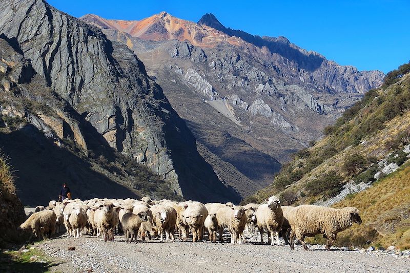 Trek de Mini-Huayhuash - Pérou