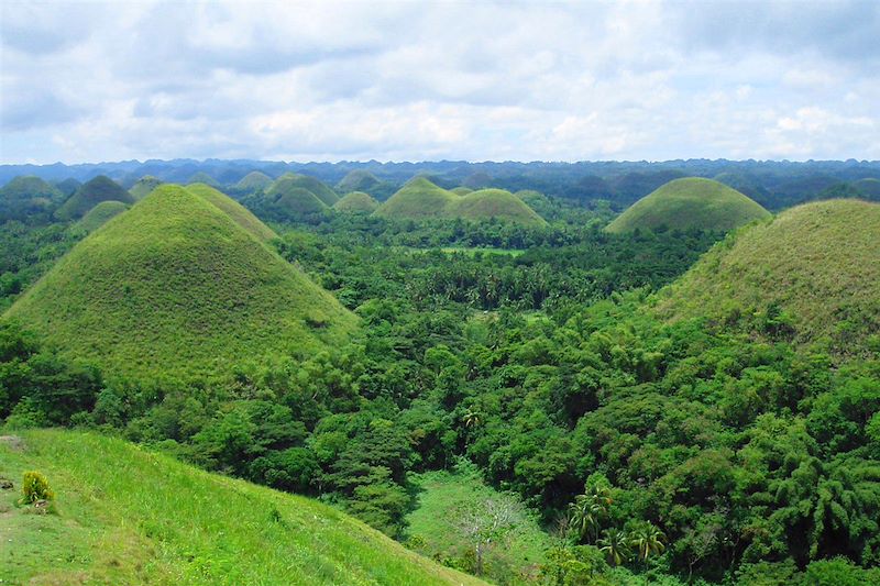 Site des Chocolate Hills - région de Carmen - île de Bohol - Philippines