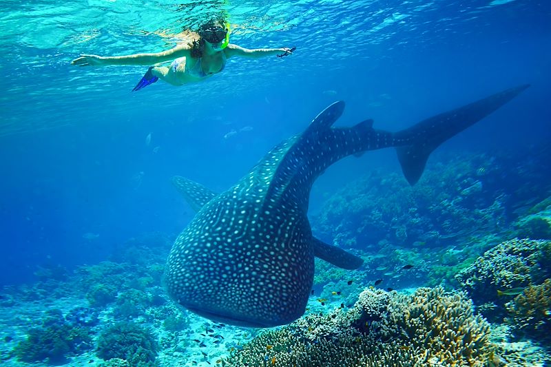 Rencontre dans les Visayas - Philippines