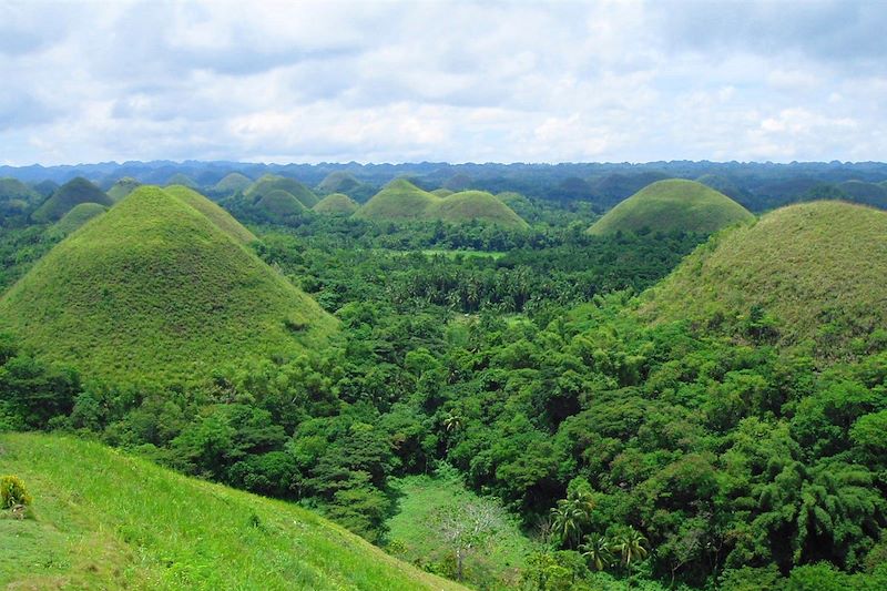 Site des Chocolate Hills - région de Carmen - île de Bohol - Philippines