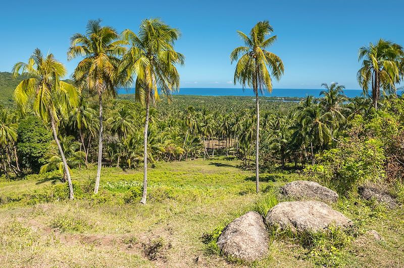 Île de Bohol - Visayas - Philippines