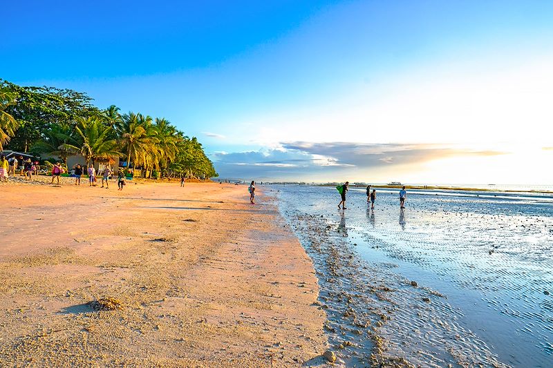 Île de Bohol - Philippines