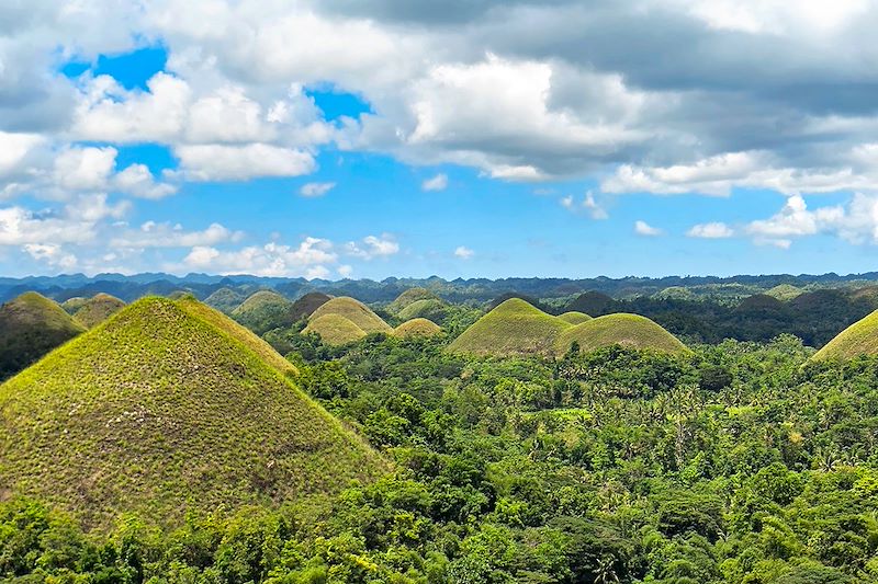 Chocolate Hills - Île de Bohol - Philippines