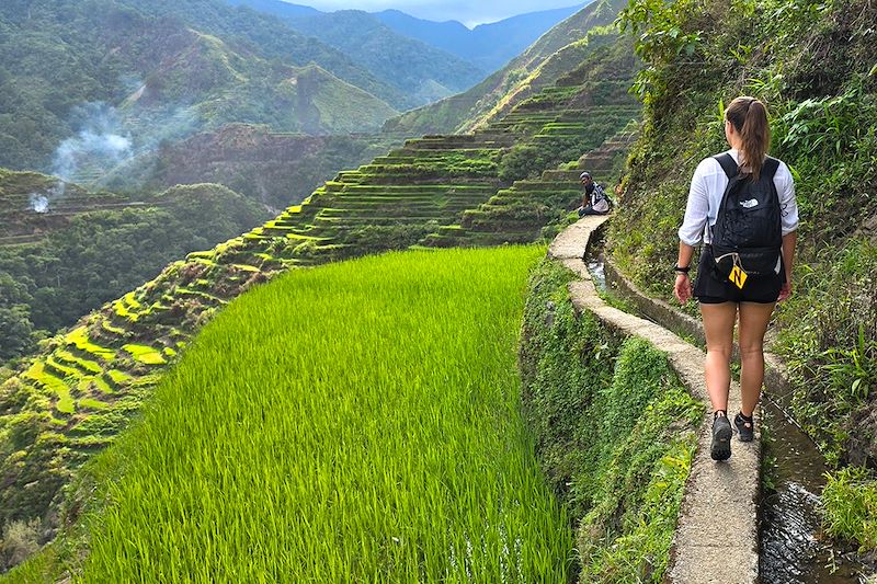 Randonnée dans les rizières en terrasse de Banaue - Province d'Ifugao - Philippines