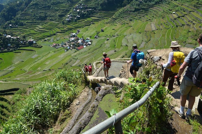 Randonnée dans les rizières de Batad - Banaue - Province d'Ifugao - Région administrative de la Cordillère - Luçon - Philippines