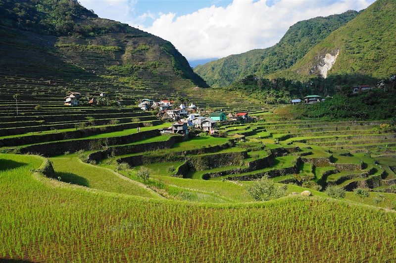 Rizières de Banaue - Province d'Ifugao - Région administrative de la Cordillère - Luçon - Philippines