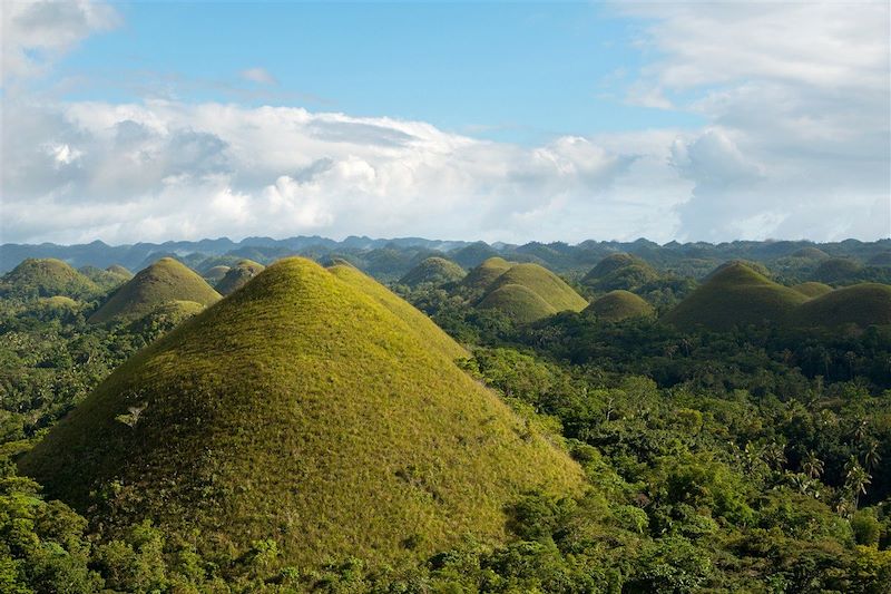 Chocolate Hills - Île de Bohol - Philippines