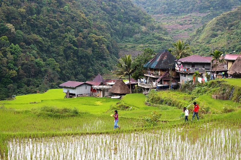 Village typique au milieu des rizières de Banaue - Philippines