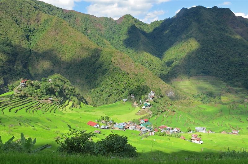 Rizières de Batad - Banaue - Province d'Ifugao - Région administrative de la Cordillère - Luçon - Philippines