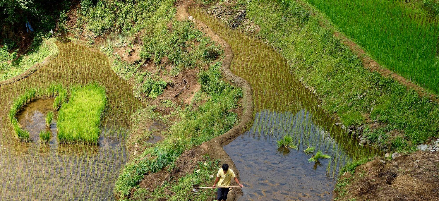 Image Trek chez les Ifugao et île de Mindoro