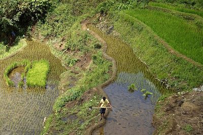 Trek chez les Ifugao et île de Mindoro 2