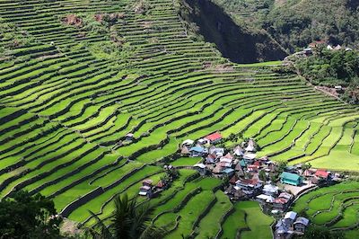 Tribus Ifugao et archipel de Busuanga  4