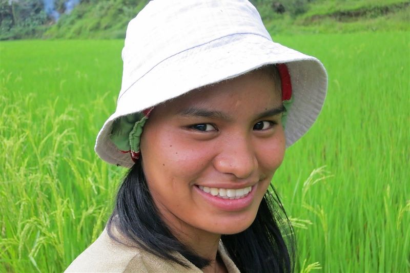 Rizicultrice dans les rizières de Cambulo - Banaue - Province d'Ifugao - Région administrative de la Cordillère - Luçon - Philippines