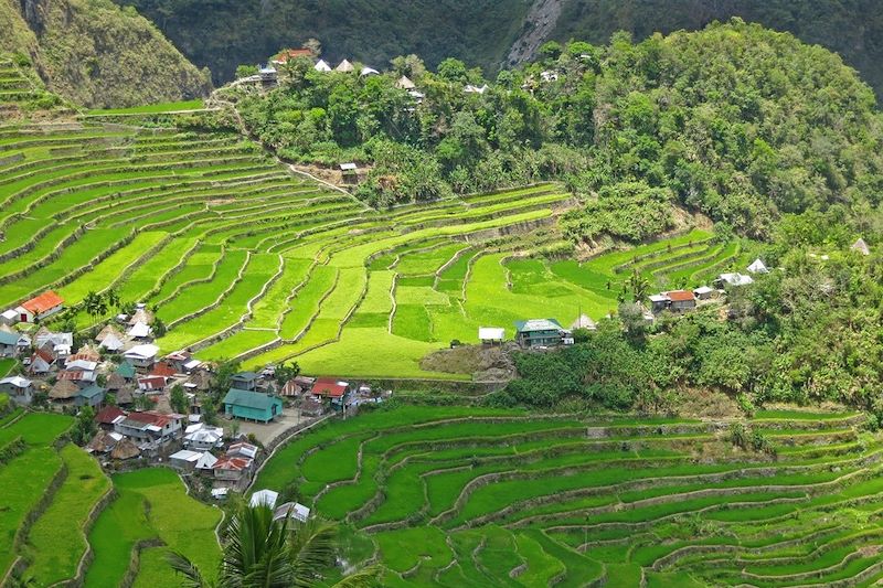 Tribus Ifugao et archipel de Busuanga 