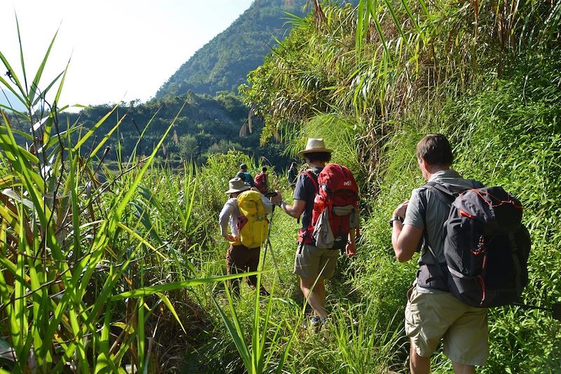 Randonnée dans les rizières de Banaue - Province d'Ifugao - Région administrative de la Cordillère - Luçon - Philippines