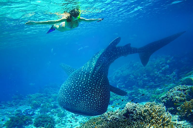 Rencontre dans les Visayas - Philippines