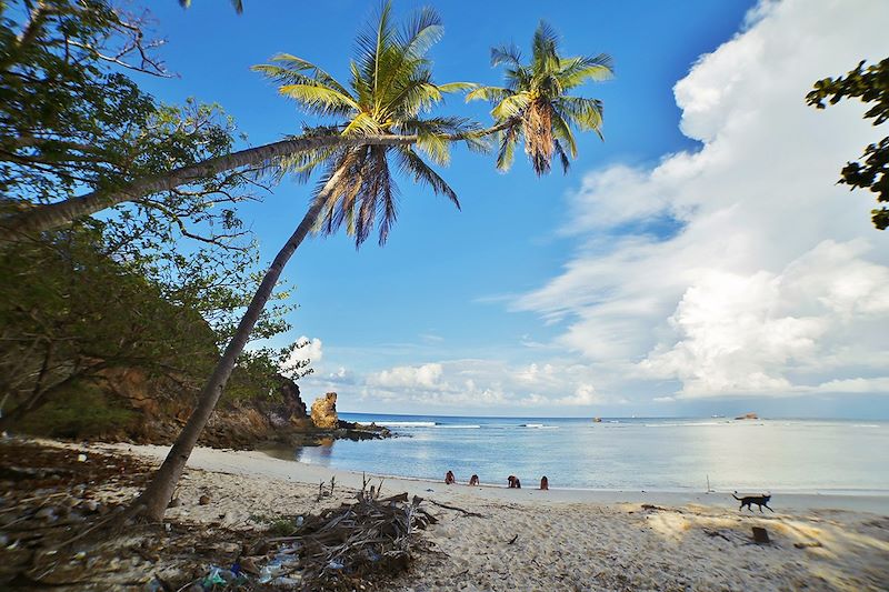 Stage de survie sur l'archipel de Palawan - Philippines