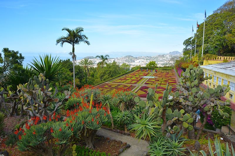 Jardin botanique de Funchal - Madère - Portugal