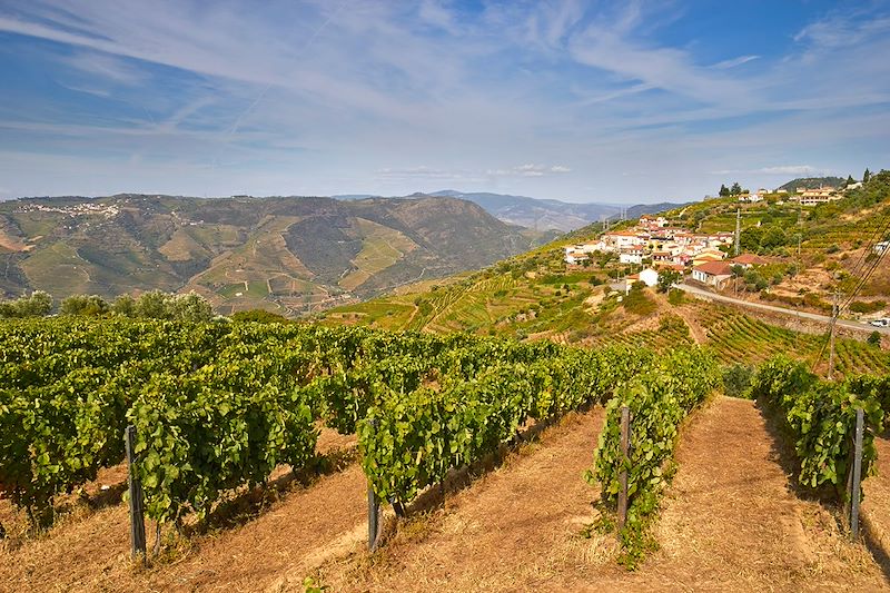 Van, vignes et rando autour de Porto