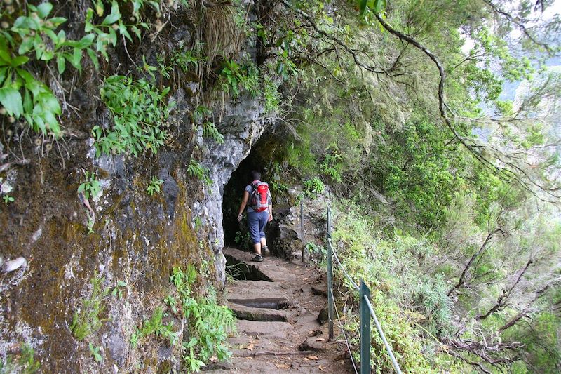 Randonnée dans la levada de Caldeirao Verde - Madère